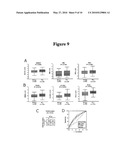 SPINK1 AS A PROSTATE CANCER MARKER AND USES THEREOF diagram and image