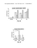 REGULATION OF CELL SURVIVAL BY HSP90 AND IP6K2 diagram and image