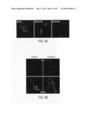 REGULATION OF CELL SURVIVAL BY HSP90 AND IP6K2 diagram and image