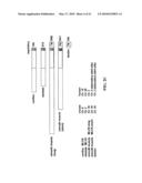 IDENTIFICATION OF CARDIAC SPECIFIC MYOSIN LIGHT CHAIN KINASE diagram and image