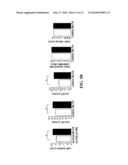 IDENTIFICATION OF CARDIAC SPECIFIC MYOSIN LIGHT CHAIN KINASE diagram and image