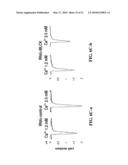 IDENTIFICATION OF CARDIAC SPECIFIC MYOSIN LIGHT CHAIN KINASE diagram and image