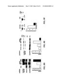 IDENTIFICATION OF CARDIAC SPECIFIC MYOSIN LIGHT CHAIN KINASE diagram and image