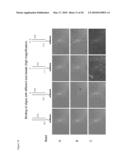 METHODS AND COMPOSITIONS IN PARTICLE-BASED DETECTION OF TARGET MOLECULES USING LINKING MOLECULES diagram and image