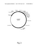 Methods of producing the cellulolytic enhancing activity of a polypeptide diagram and image