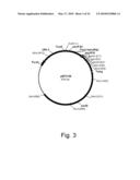 Methods of producing the cellulolytic enhancing activity of a polypeptide diagram and image