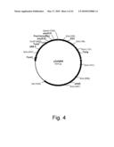 Methods of producing the cellulolytic enhancing activity of a polypeptide diagram and image