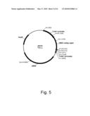 Methods of producing the cellulolytic enhancing activity of a polypeptide diagram and image