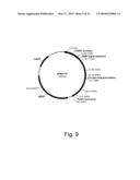 Methods of producing the cellulolytic enhancing activity of a polypeptide diagram and image