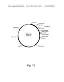 Methods of producing the cellulolytic enhancing activity of a polypeptide diagram and image