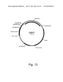 Methods of producing the cellulolytic enhancing activity of a polypeptide diagram and image