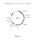 Methods of producing the cellulolytic enhancing activity of a polypeptide diagram and image