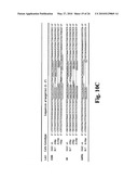 Methods and compositions for inactivating glutamine synthetase gene expression diagram and image