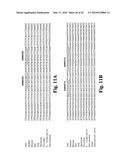 Methods and compositions for inactivating glutamine synthetase gene expression diagram and image