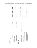 PYROPHOSPHOROLYSIS ACTIVATED POLYMERIZATION (PAP) diagram and image