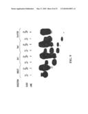 PYROPHOSPHOROLYSIS ACTIVATED POLYMERIZATION (PAP) diagram and image