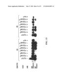 PYROPHOSPHOROLYSIS ACTIVATED POLYMERIZATION (PAP) diagram and image