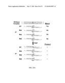 PYROPHOSPHOROLYSIS ACTIVATED POLYMERIZATION (PAP) diagram and image