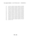 HEPATITIS C VIRUS VACCINE diagram and image