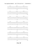 HEPATITIS C VIRUS VACCINE diagram and image