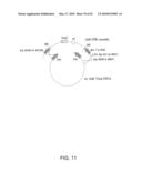 HEPATITIS C VIRUS VACCINE diagram and image