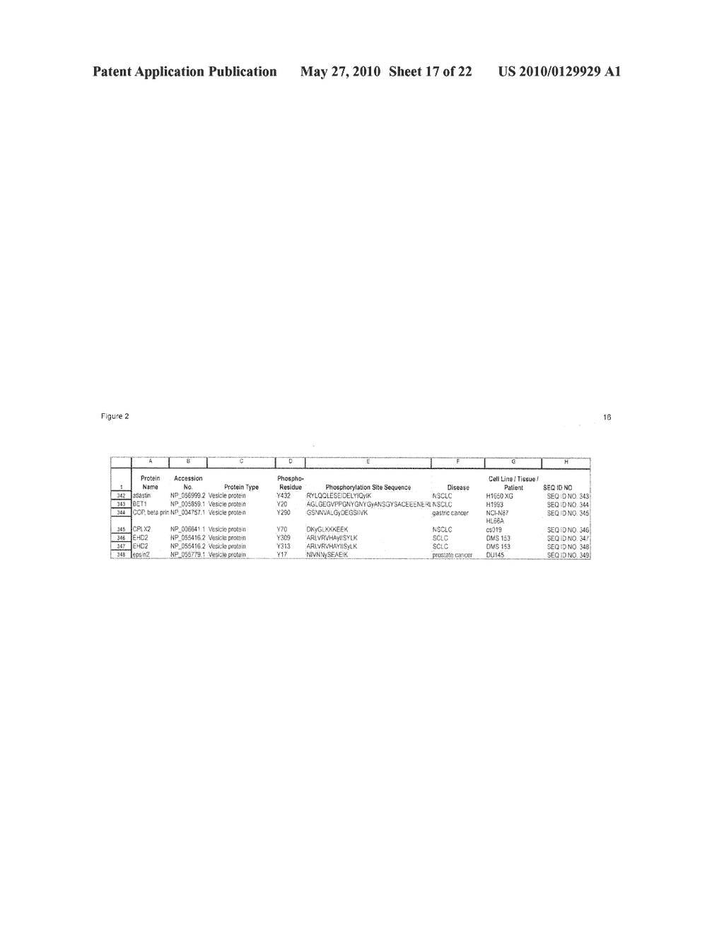 Tyrosine Phosphorylation Sites - diagram, schematic, and image 18