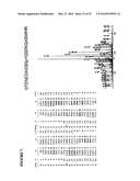 Tyrosine Phosphorylation Sites diagram and image