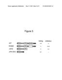 TREATMENT OF MYELOPROLIFERATIVE DISORDERS WITH ADAPTOR PROTEIN LNK diagram and image