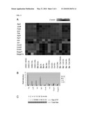 COMPOUNDS THAT INDUCE PANCREATIC BETA-CELL EXPANSION diagram and image