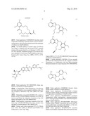 NEW FLUORENE DERIVATIVES, COMPOSITIONS CONTAINING THE SAME AND USE THEREOF AS INHIBITORS OF THE PROTEIN CHAPERONE HSP 90 diagram and image