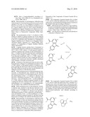 NEW FLUORENE DERIVATIVES, COMPOSITIONS CONTAINING THE SAME AND USE THEREOF AS INHIBITORS OF THE PROTEIN CHAPERONE HSP 90 diagram and image