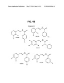 SMALL MOLECULE INHIBITORS OF BCL6 diagram and image