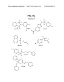 SMALL MOLECULE INHIBITORS OF BCL6 diagram and image