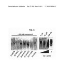 SMALL MOLECULE INHIBITORS OF BCL6 diagram and image