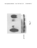 METHODS OF TREATING CANCER USING siRNA MOLECULES DIRECTED AGAINST CD24 diagram and image