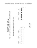 MULTIPLE EXON SKIPPING COMPOSITIONS FOR DMD diagram and image