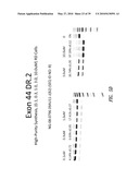 MULTIPLE EXON SKIPPING COMPOSITIONS FOR DMD diagram and image