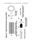 RNA Interference Mediated Inhibition of GRB2 Associated Binding Protein (GAB2) Gene Expression Using Short Interfering Nucleic Acid (siNA) diagram and image