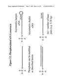 RNA Interference Mediated Inhibition of GRB2 Associated Binding Protein (GAB2) Gene Expression Using Short Interfering Nucleic Acid (siNA) diagram and image