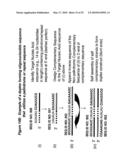 RNA Interference Mediated Inhibition of GRB2 Associated Binding Protein (GAB2) Gene Expression Using Short Interfering Nucleic Acid (siNA) diagram and image