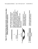 RNA Interference Mediated Inhibition of GRB2 Associated Binding Protein (GAB2) Gene Expression Using Short Interfering Nucleic Acid (siNA) diagram and image