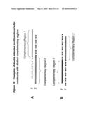 RNA Interference Mediated Inhibition of GRB2 Associated Binding Protein (GAB2) Gene Expression Using Short Interfering Nucleic Acid (siNA) diagram and image