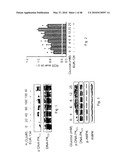 DNA-PKCS MODULATES ENERGY REGULATION AND BRAIN FUNCTION diagram and image