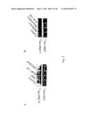 DNA-PKCS MODULATES ENERGY REGULATION AND BRAIN FUNCTION diagram and image