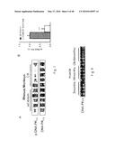 DNA-PKCS MODULATES ENERGY REGULATION AND BRAIN FUNCTION diagram and image