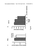 DNA-PKCS MODULATES ENERGY REGULATION AND BRAIN FUNCTION diagram and image