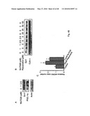 DNA-PKCS MODULATES ENERGY REGULATION AND BRAIN FUNCTION diagram and image