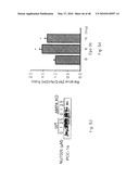 DNA-PKCS MODULATES ENERGY REGULATION AND BRAIN FUNCTION diagram and image