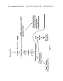 DNA-PKCS MODULATES ENERGY REGULATION AND BRAIN FUNCTION diagram and image