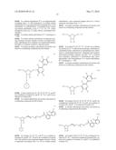 LUMINESCENT METAL ION COMPLEXES diagram and image